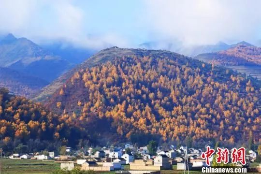 秋末冬初,甘肃南部的岷县十里镇山川色彩斑斓,犹如画家打翻了调色板.