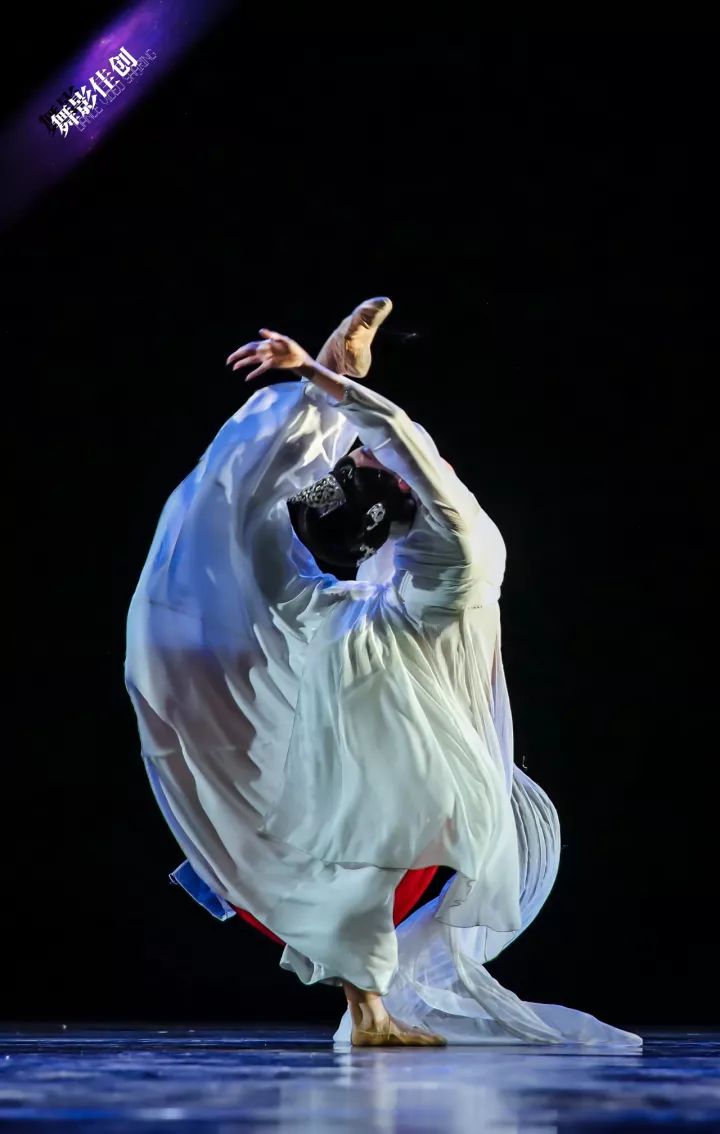 图集第十一届中国舞蹈荷花奖古典舞评奖第1场精彩剧照