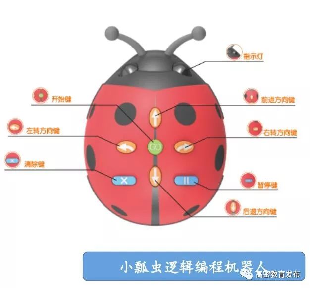 [高密教育] "度娃"小瓢虫走进校园!| 大牟家幼儿园:课堂教学展示月