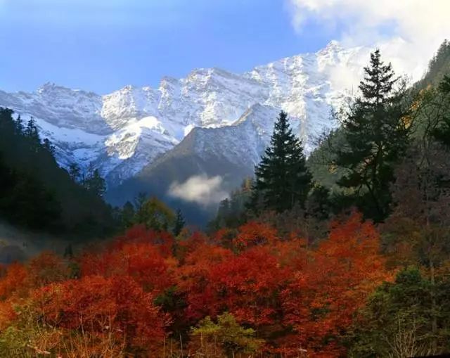 平武县的白马王朗景区