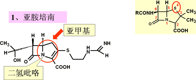 (一)碳青霉烯类