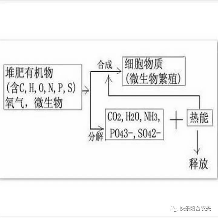 看了就会做的阳台简易堆肥法图文版