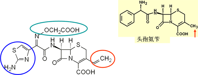 7位顺式的甲氧肟基,甲氧肟基对β-内酰胺酶有高度的稳定作用,因此耐酶