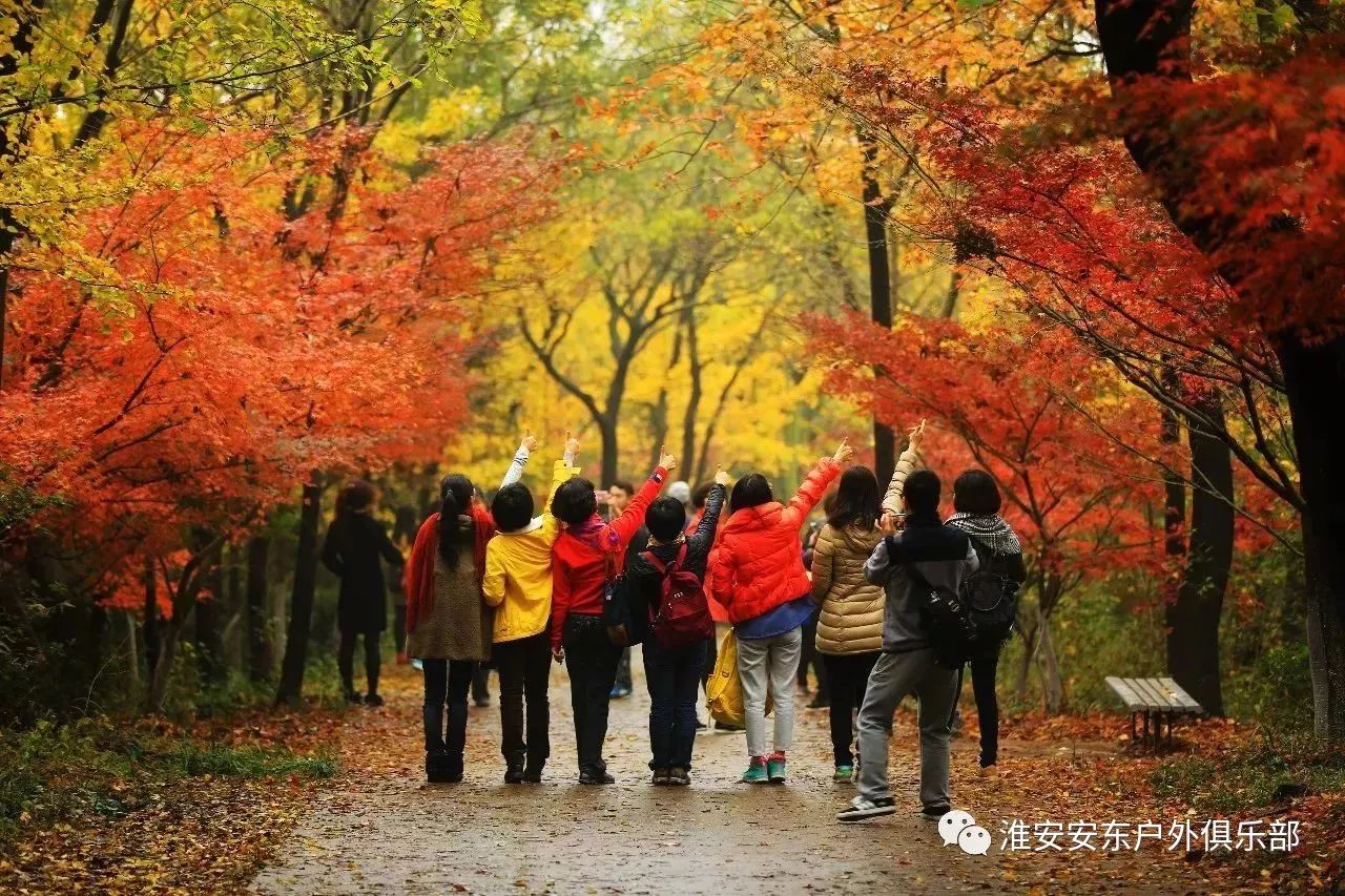 安东户外"游江苏":11月19日(周日)南京栖霞山赏漫山红枫一日活动召集!