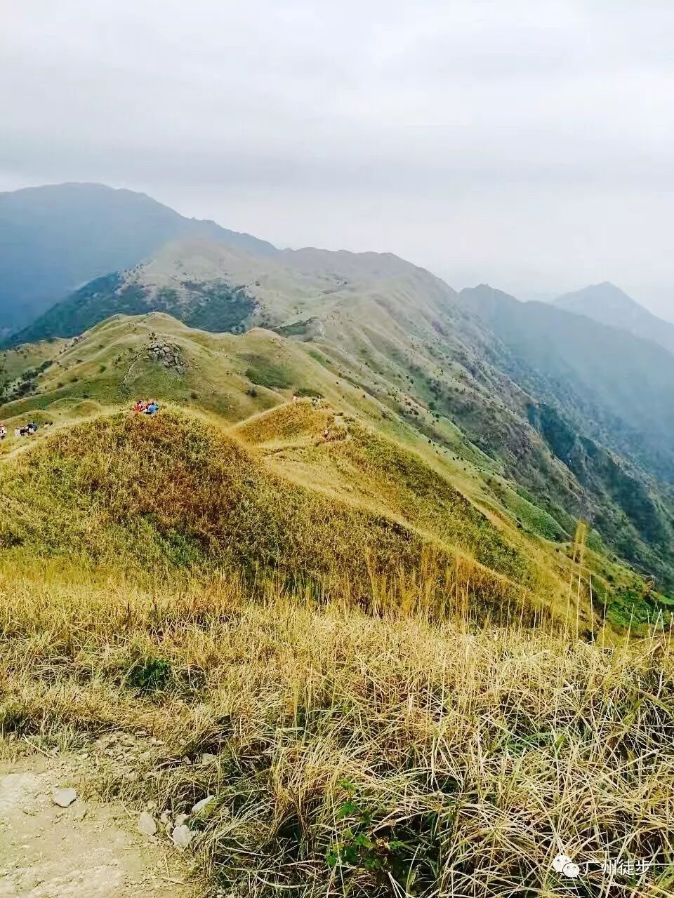 【活动】11月19日 惠州大南山--穿越珠三角最美高山草原-小武功山