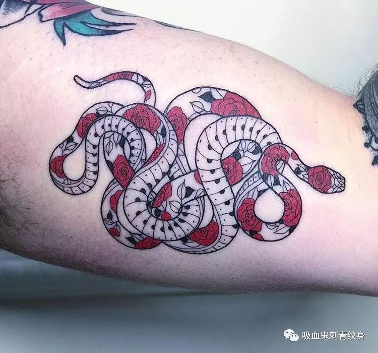 tattoo snake蛇蝎心肠 | 来日方长是有的,只是不是跟