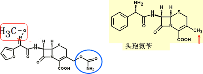 1.结构特点:头孢氨苄的苯环对位羟基; 2.