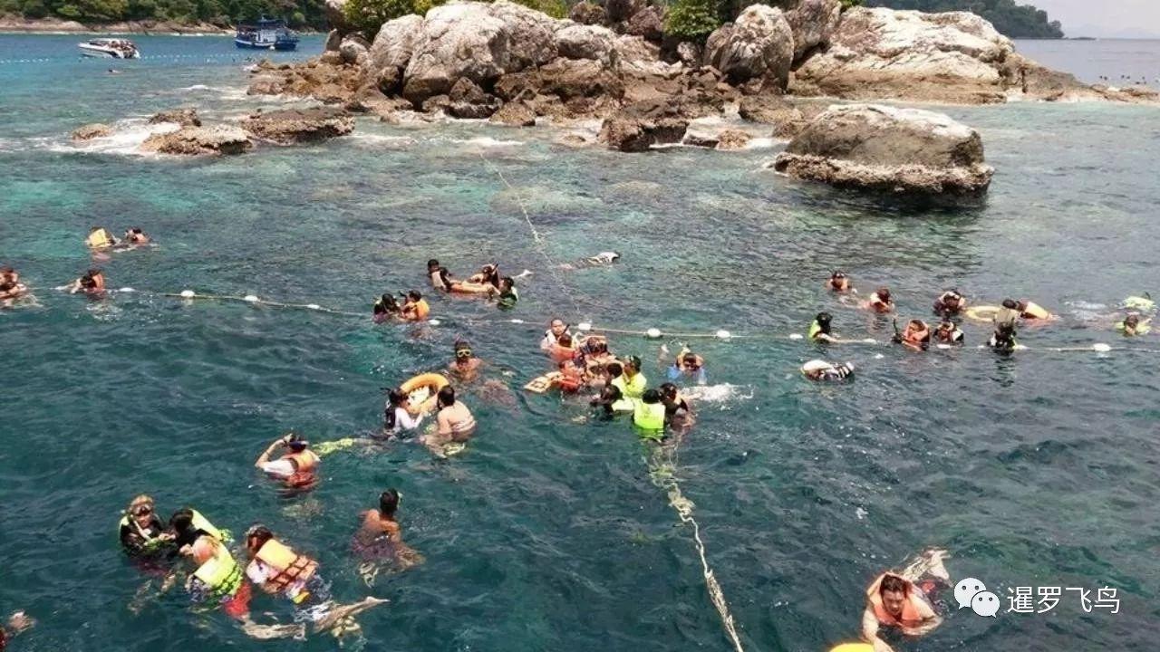 中国28岁男游客在泰国象岛附近浮潜溺亡未穿救生衣