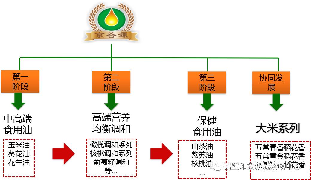 国王之谷人口比例_龙之谷小国王(3)