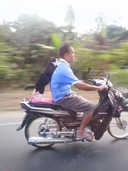 街头拍到一男子骑摩托车,背后的东西让数人喷饭.