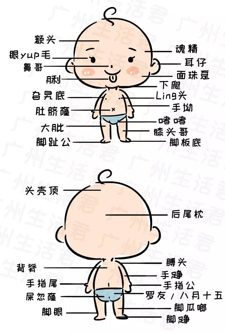 人口钱_人口普查图片