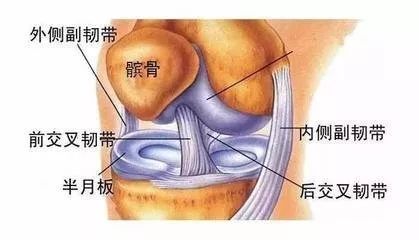 4如果有内外侧副韧带损伤的情况,该如何缓解呢?