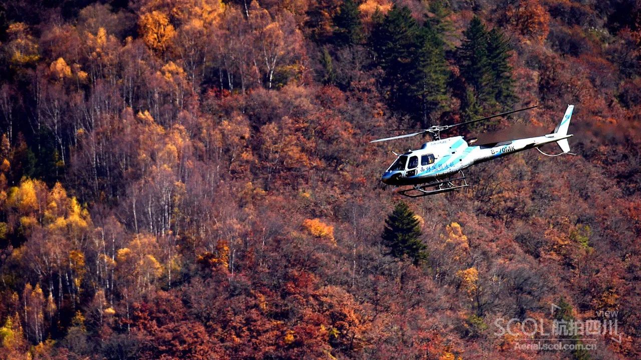 怎么搭飞机四川九寨沟