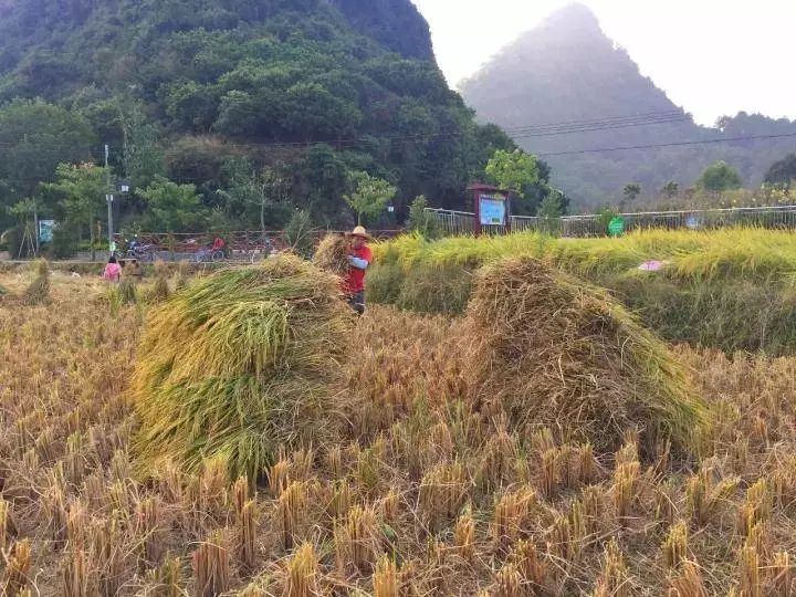 浸潭镇人口数量多少_北流隆盛镇有多少人口(2)