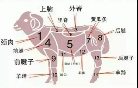 是:羊上脑,羊磨档,羊筋肉,羊腱子,小三叉还是大三叉?