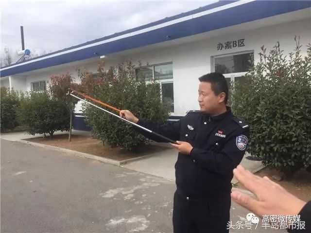 驱车从崂山赶到高密,5小时用弹弓打下48只山斑鸠