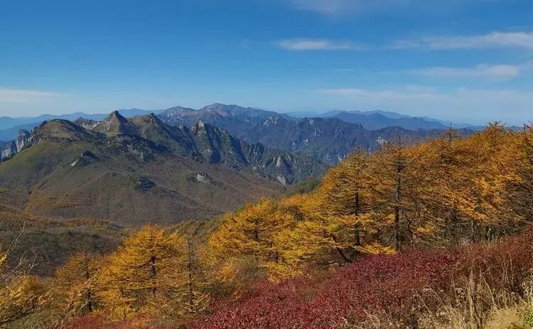 柞水县城区有多少人口(2)