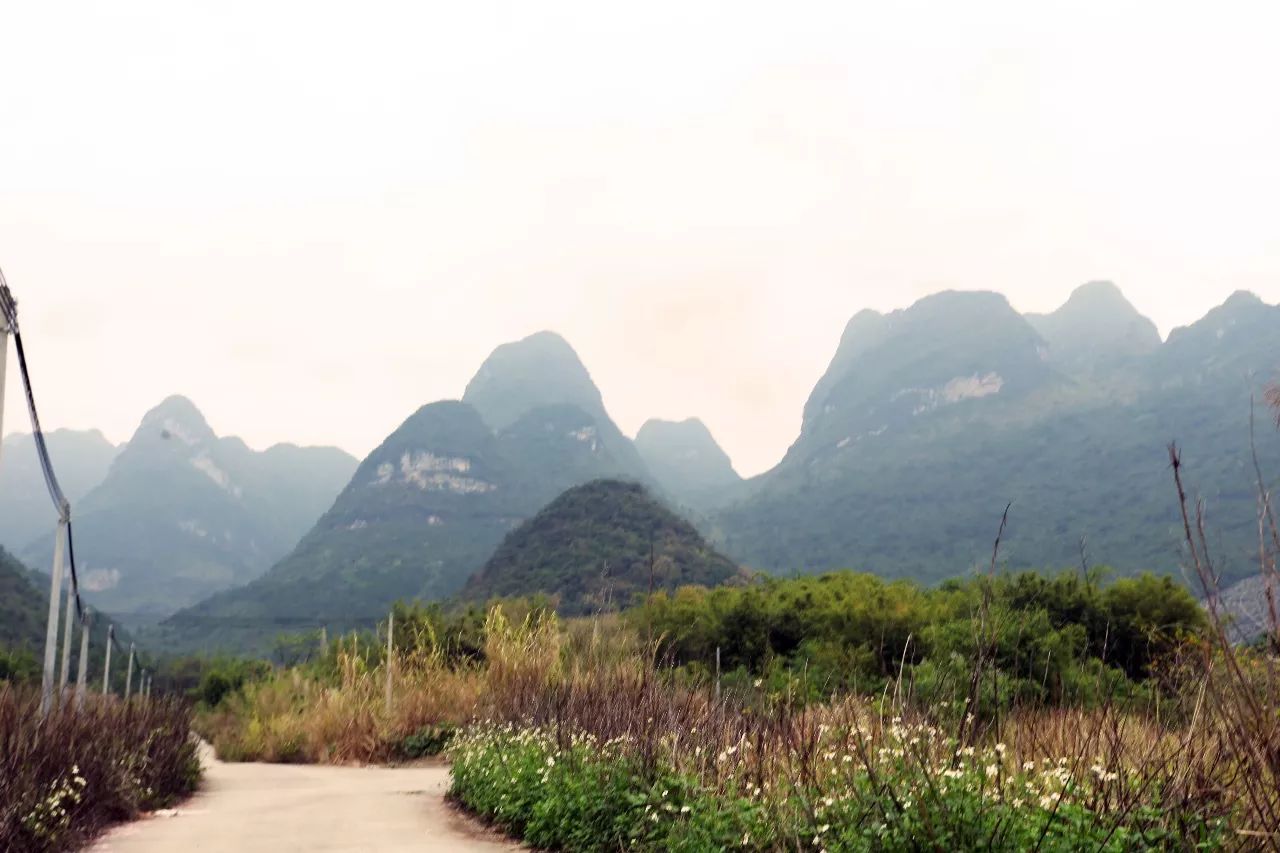 阅梨"草场地"农场在清远石潭镇,这里属于喀斯特地形,峰峦重叠,从远处