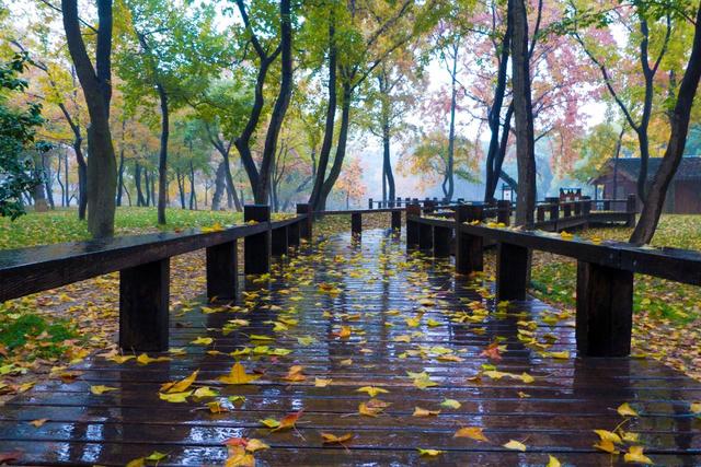 纳兰性德这首词真是美翻了:"一往情深深几许?深山夕照深秋雨"