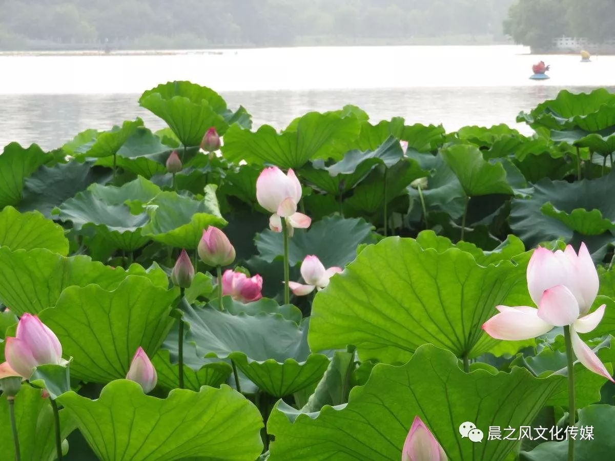 描写郑州龙湖的诗句