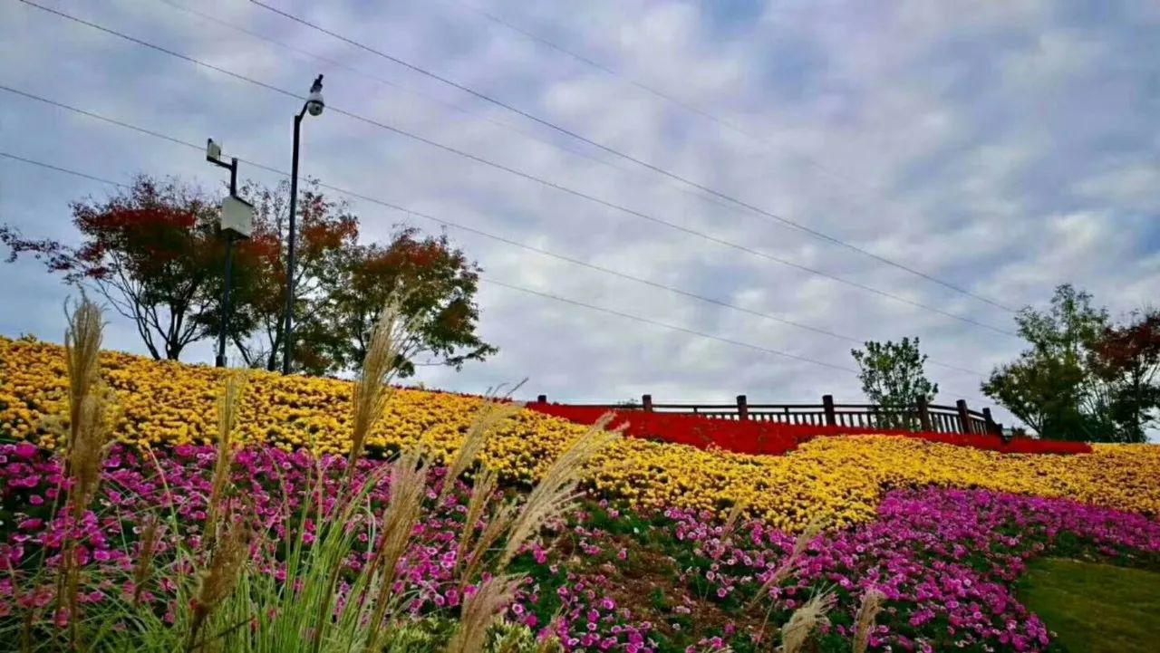 11月18日丨马金豆腐文化节·美食嘉年华·花牵谷欢乐互动一日游.