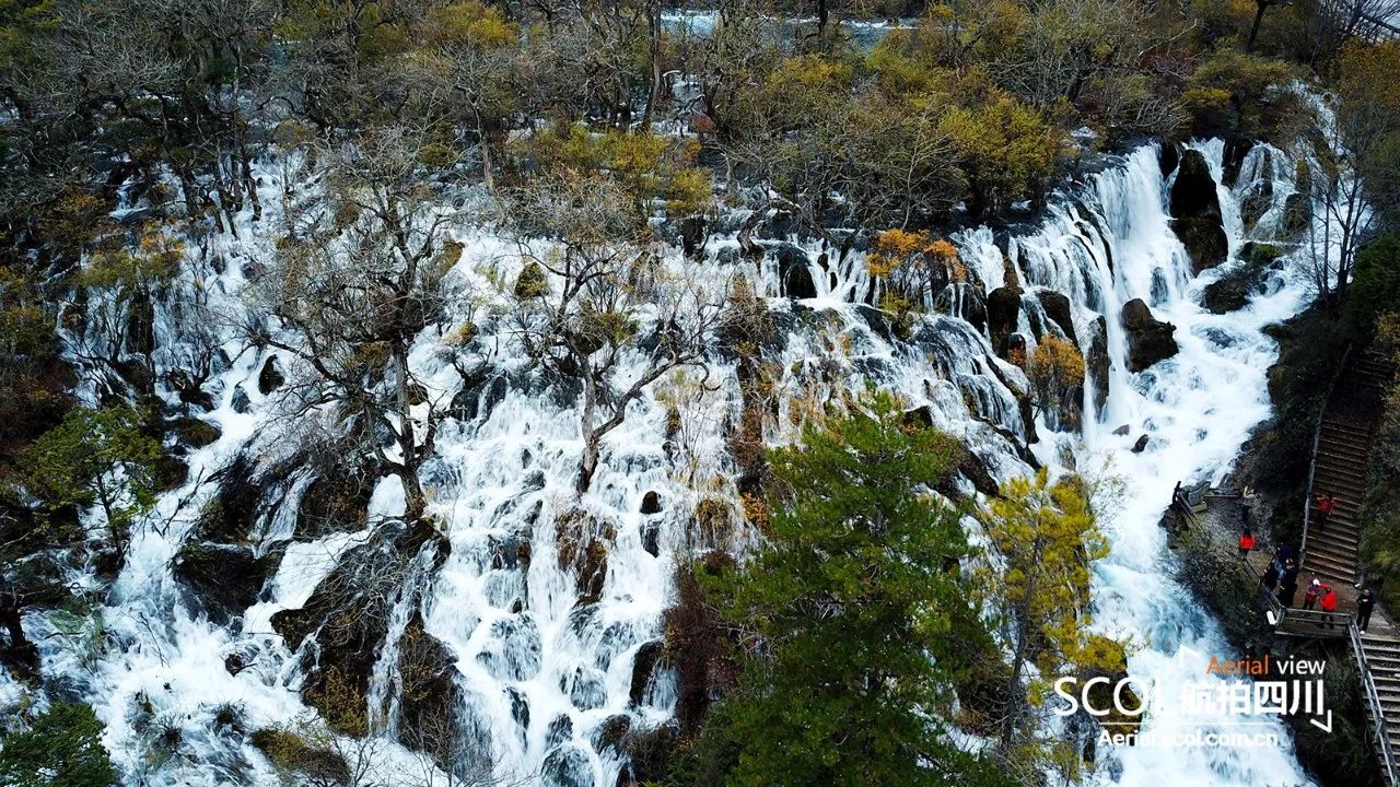 怎么搭飞机四川九寨沟