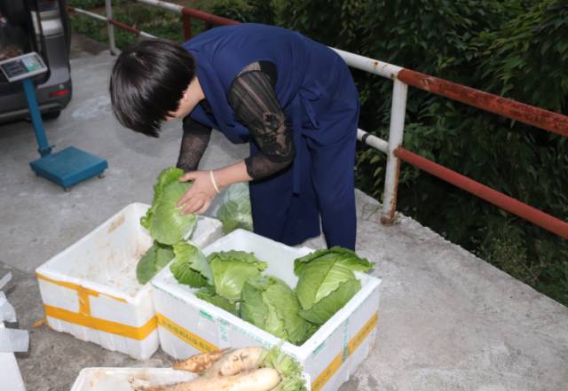 建功新时代瓯海田园明星胡克俭泽雅高山蔬菜种植领头人阅读有福利哟