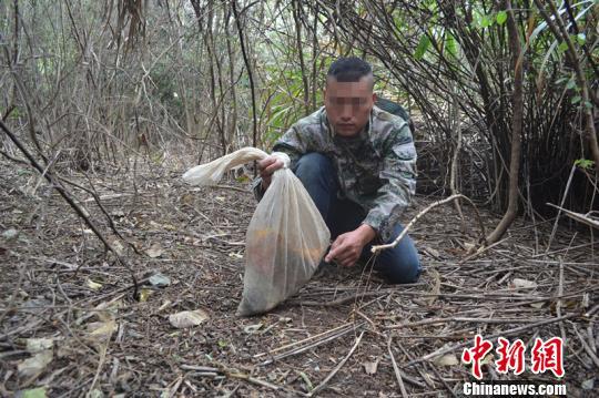 广西一男子网上学猎捕野生动物方法学以致用被刑拘