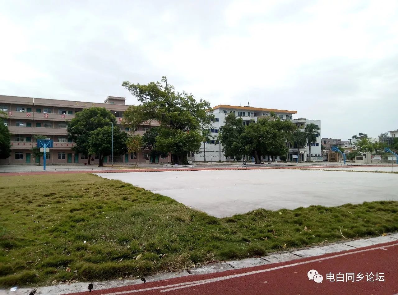 电白人口村_电白蓝田坡村