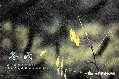 踏遍青山人未老冬雨