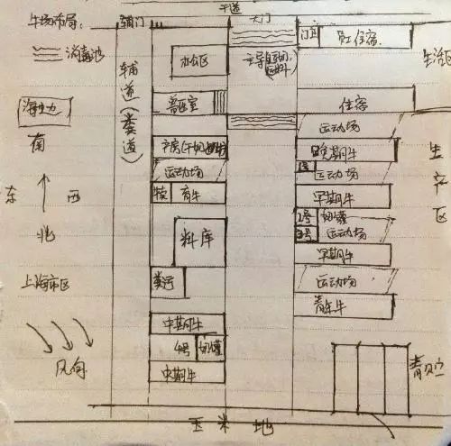 肉牛养殖场平面养牛场牛棚牛舍图纸