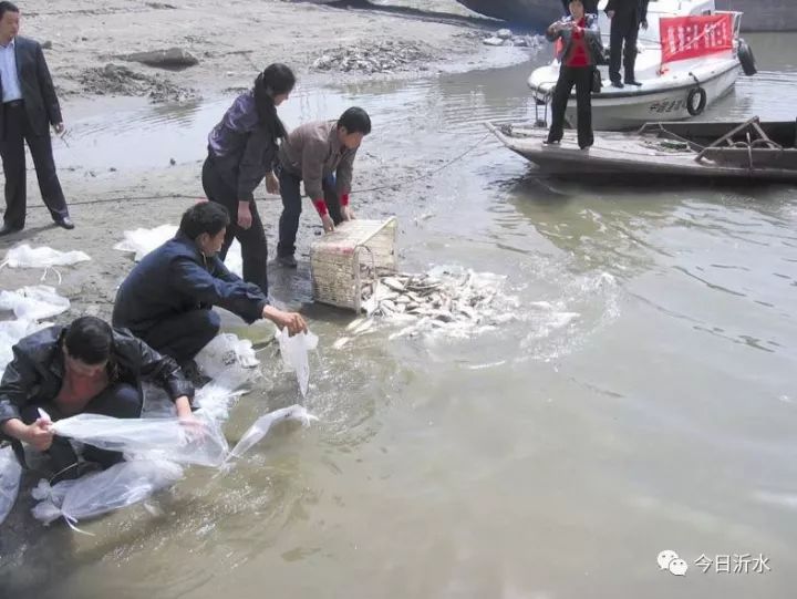 【今日推荐】中国临沂(沂水龙泉湖)首届沂蒙水库鱼"彩虹谷杯"美食节11