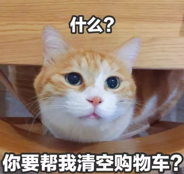 壁纸 动物 猫 猫咪 小猫 桌面 640_605