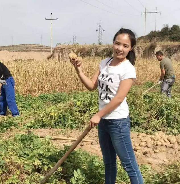 乡村小百灵 土豆花儿开,果实土里埋 王丽,出生在山西省河曲县上炭水村