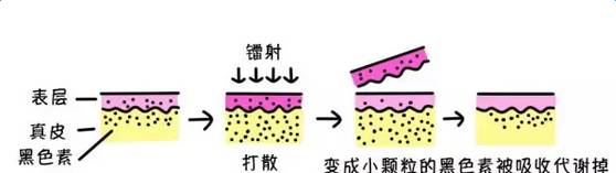 白瓷娃娃能帮到你什么?