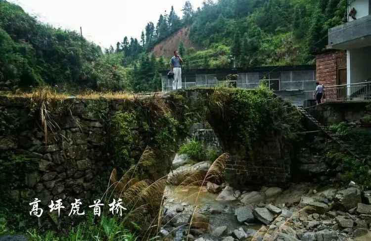 遂川乡镇人口_遂川板鸭