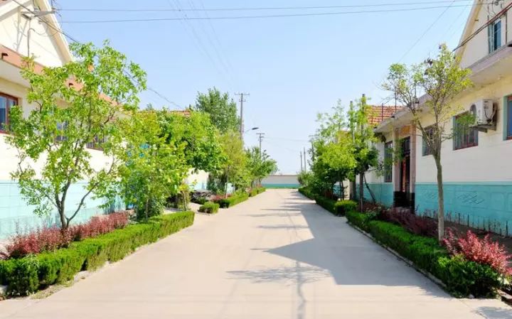 胶州市村庄路面硬化,环境绿化工作卓有成效.