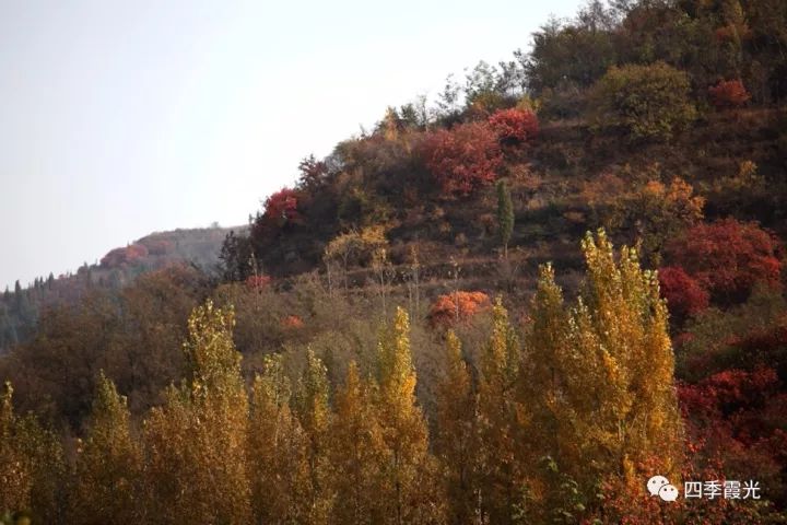 秋天的池上大南峪宛如一幅幅色彩斑斓的油画