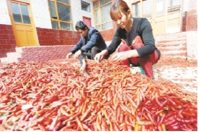 临西下堡寺村有多少人口_河北临西童村半夏