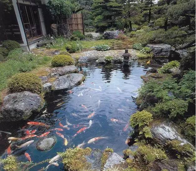 庭院最美在于鱼池