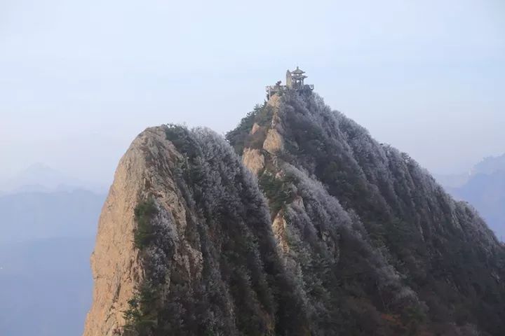 河南老君山现雾凇奇观!南北景色各不相同