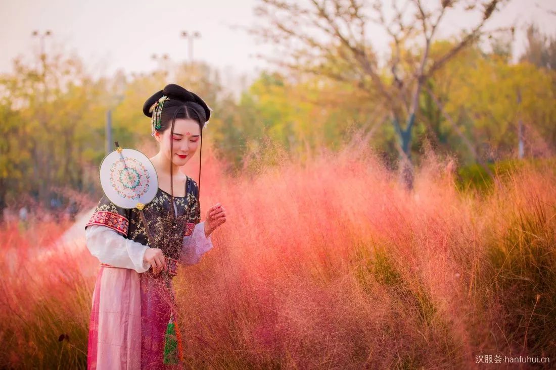 粉黛乱子草(或毛芒乱子草)拉丁名:muhlenbergia capillaris 粉黛乱子