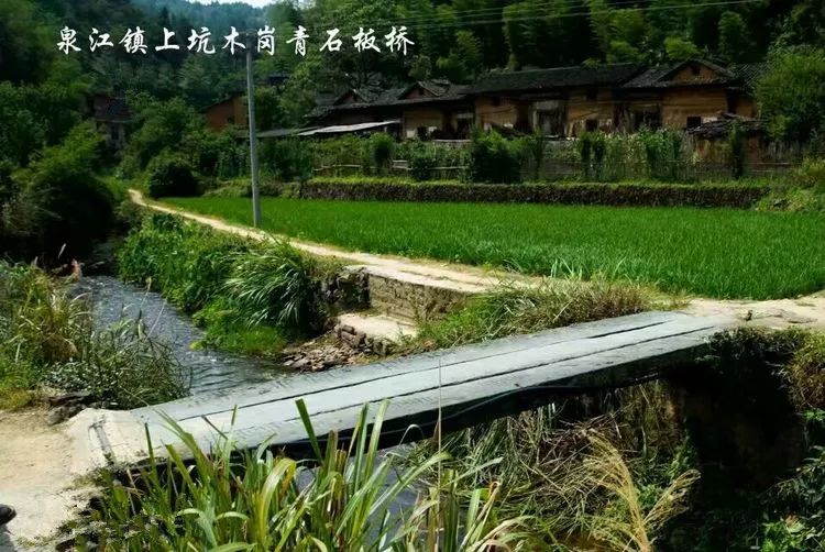 遂川乡镇人口_遂川板鸭