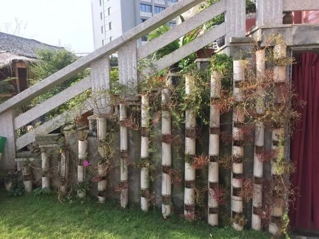 竹筒花盆,依照楼梯的形状排排靠,真正做到了墙上开花,墙角见绿