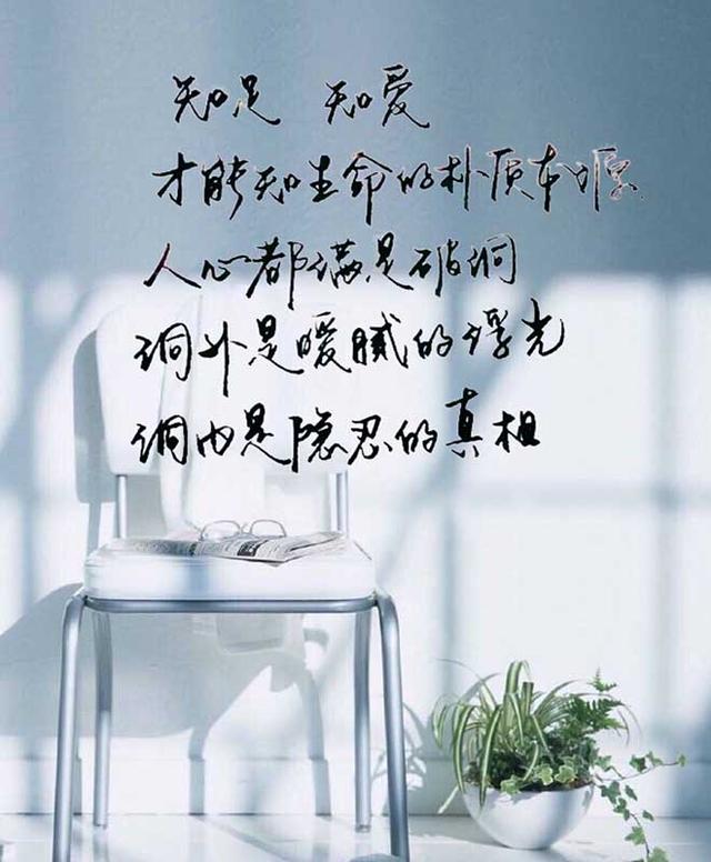 深情不及久伴,真爱无需誓言