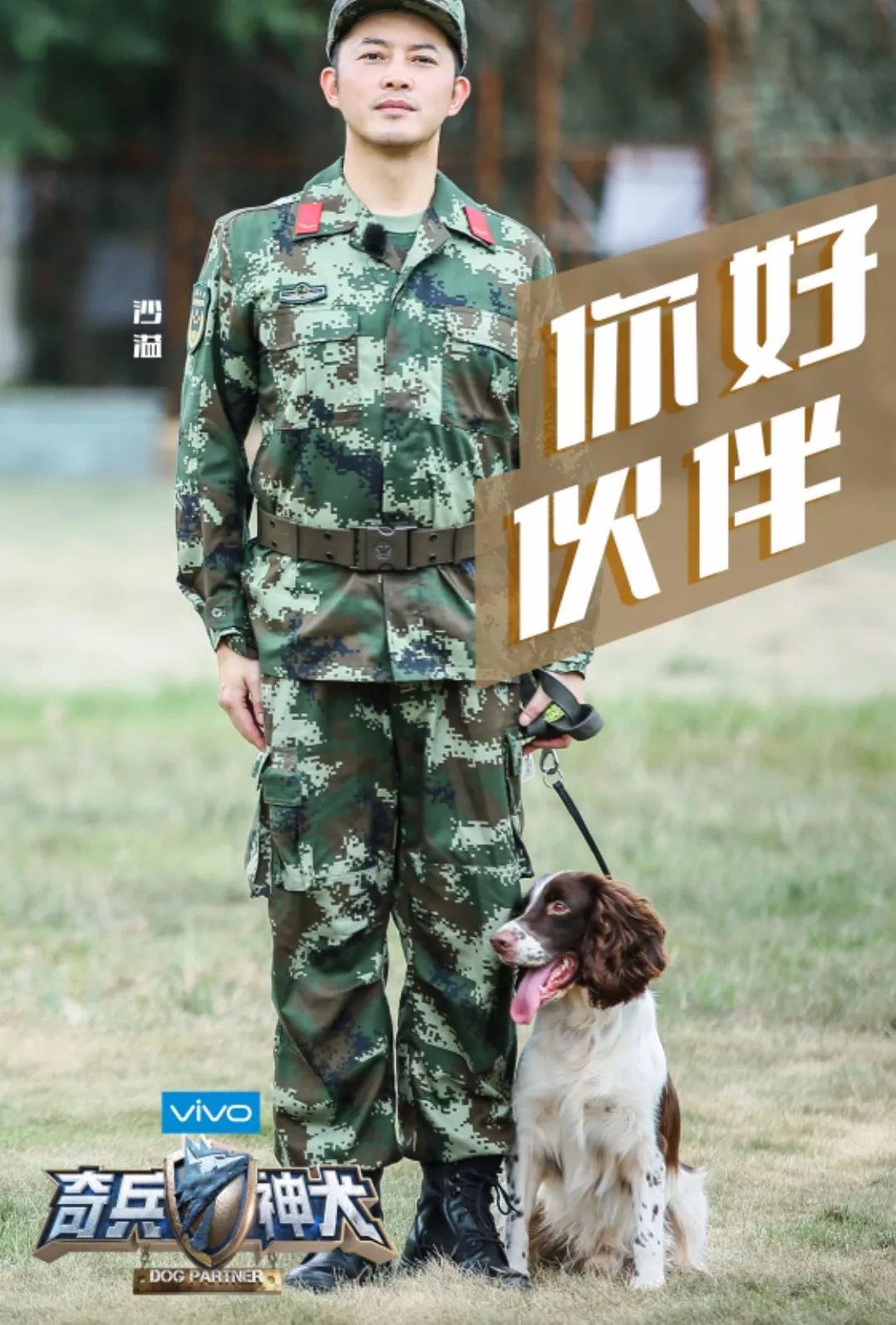 《奇兵神犬》训犬难度再升级,张馨予为爱犬剪去五年长发