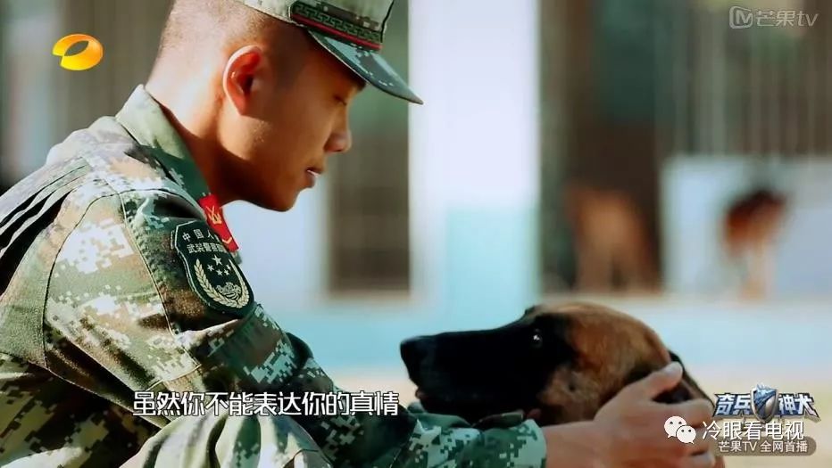 同为军旅题材的《奇兵神犬》不抓人,就是输在了选角上