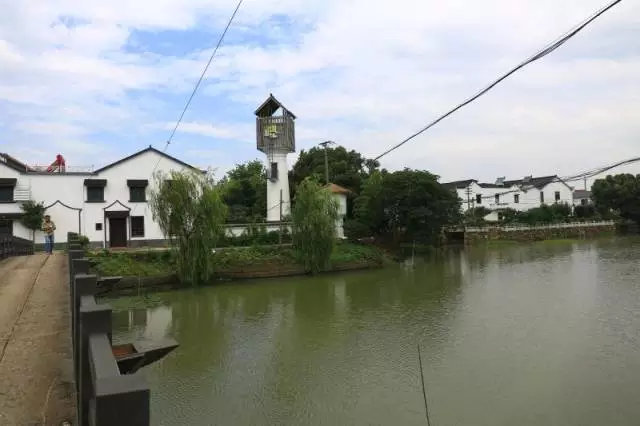 水墨苎溪画里宋市新市这个水乡小村美呆了