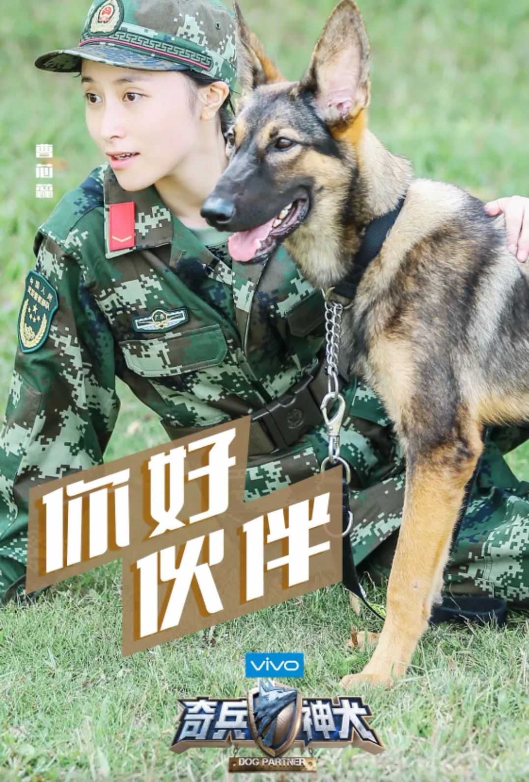 《奇兵神犬》训犬难度再升级,张馨予为爱犬剪去五年长发