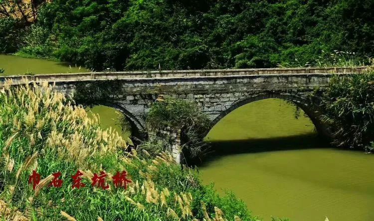 遂川乡镇人口_遂川板鸭